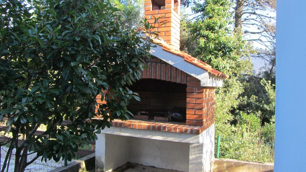 Sara Apartments Petrčane Dış mekan fotoğraf